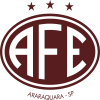 Escudo 6